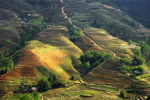 itinerario Vietnam, trekking en el valle de Sapa