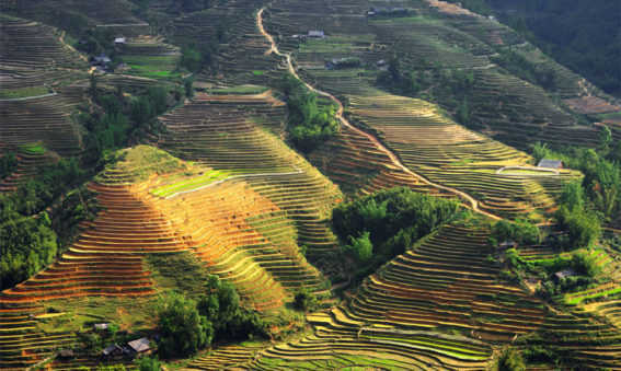 itinerario Vietnam, trekking en el valle de Sapa