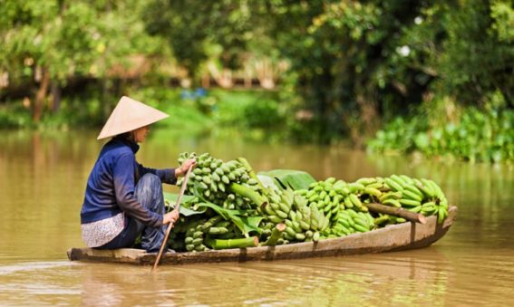 especialistas viajes vietnam, viaje a medida por Vietnam, mayorista de viajes Vietnam